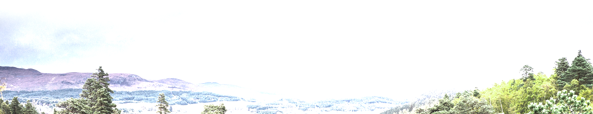 Footer forest